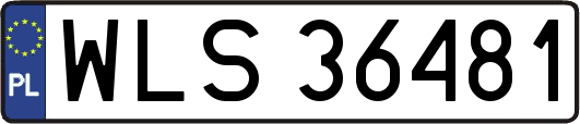 WLS36481