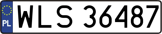 WLS36487