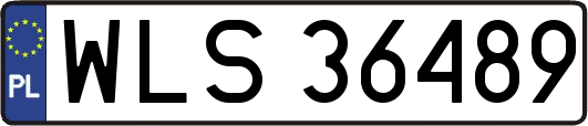 WLS36489