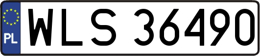 WLS36490