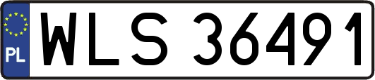 WLS36491