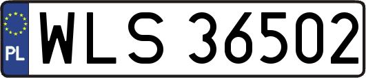 WLS36502