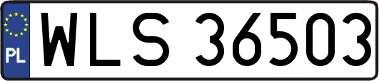 WLS36503
