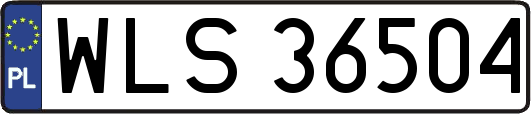 WLS36504