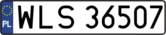 WLS36507
