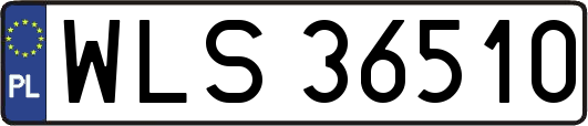 WLS36510