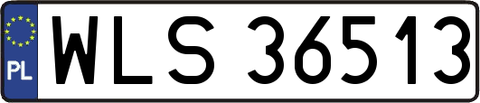 WLS36513