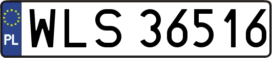 WLS36516