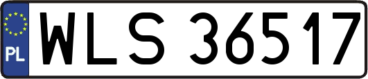 WLS36517