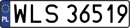 WLS36519