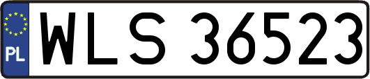 WLS36523