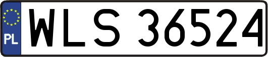 WLS36524