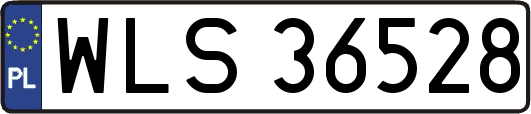 WLS36528
