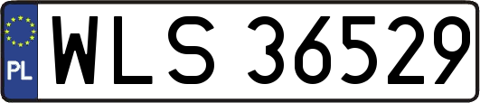 WLS36529