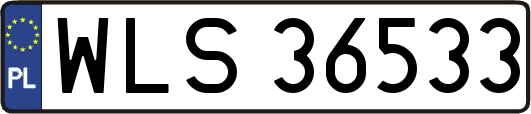 WLS36533