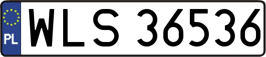 WLS36536