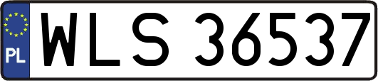 WLS36537