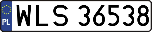 WLS36538