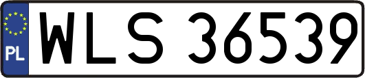WLS36539