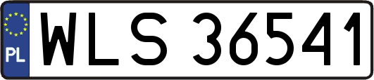 WLS36541