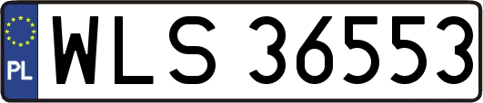 WLS36553