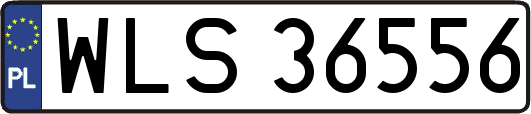 WLS36556