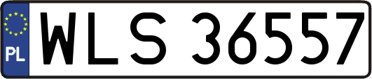 WLS36557