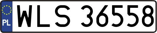 WLS36558