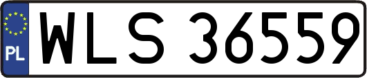 WLS36559
