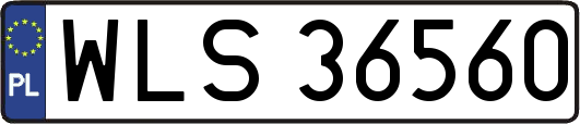 WLS36560