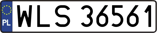 WLS36561