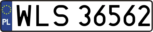 WLS36562