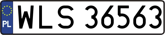 WLS36563