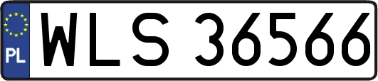 WLS36566