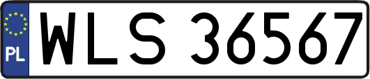 WLS36567