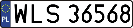 WLS36568