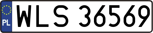 WLS36569
