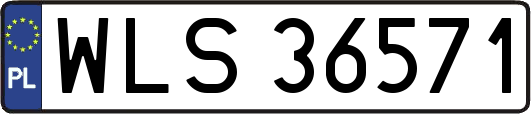WLS36571