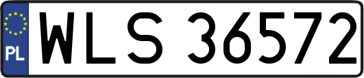 WLS36572