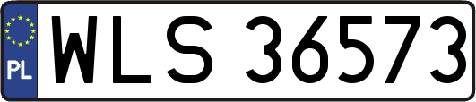 WLS36573