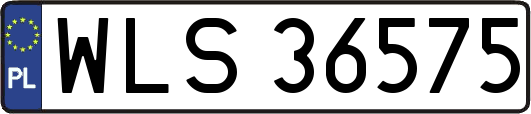 WLS36575