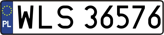 WLS36576