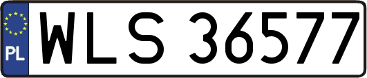 WLS36577