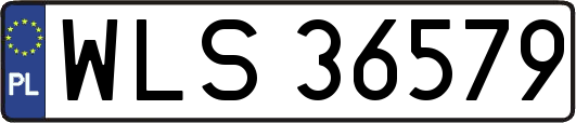 WLS36579