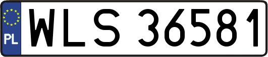 WLS36581