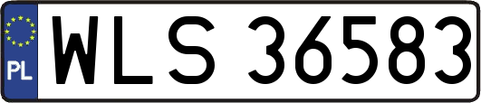 WLS36583