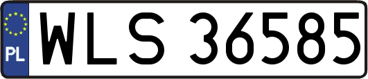 WLS36585