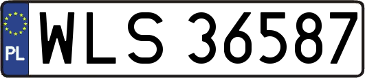 WLS36587