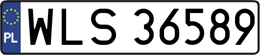 WLS36589