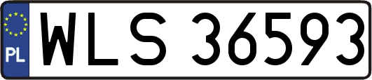 WLS36593